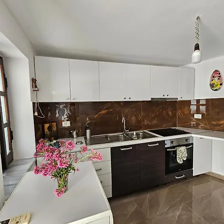 招待所 Bliss 科帕罗